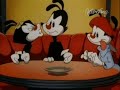 Animaniacs Fortune Cookies Polish