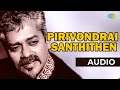 Pirivondrai Santhithen Audio Song | Piriyadha Varam Vendum | Prashant | Hariharan | S.A.Rajkumar