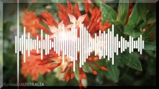 Obie Trice - Lady (ft. Eminem)