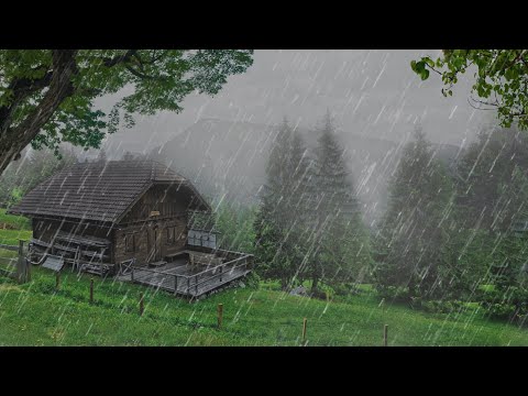 Try Listening for 3 Minutes and Sleep Immediately - RAIN Sounds  in Foggy Forest - ASMR