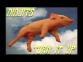 Didjits - Turn It Up