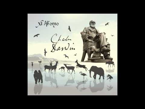 XII ALFONSO - Tierra Del Fuego