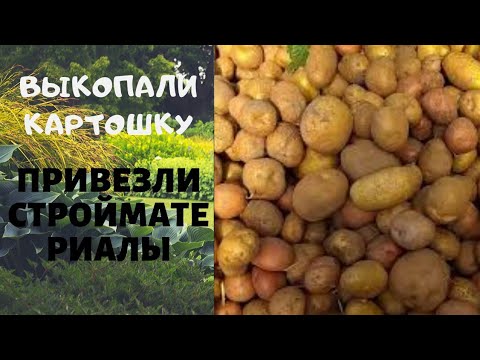 Выкопали картошку. Стройка продолжается. Жизнь в деревне.