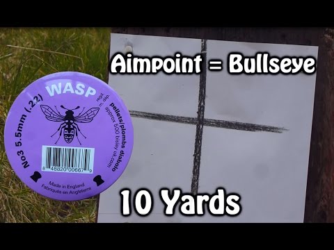 Wasp .22 Accuracy Test. Are they good? 10,20,40,50 Yards.