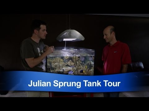 Mr. Saltwater Tank Tours Julian Sprung's Personal Reef Tank