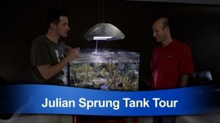 Mr. Saltwater Tank Tours Julian Sprung's Personal Reef Tank