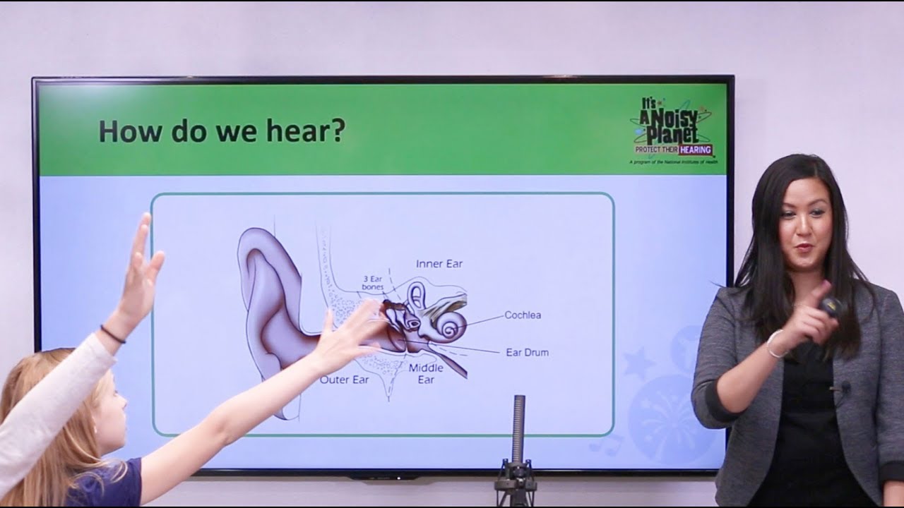 How We Hear Classroom Demonstration: What Is Sound?