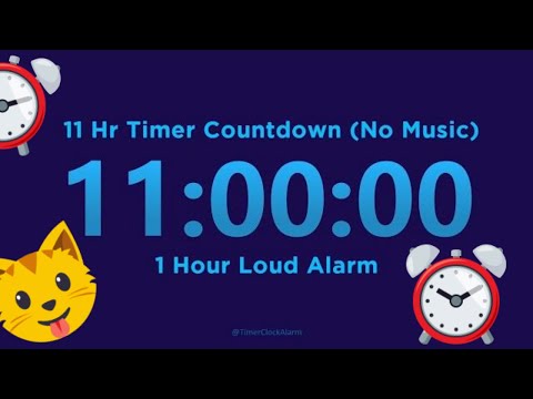 11 Hour Timer Countdown (No Music) + 1 Hour Loud Alarm