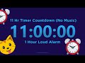 11 Hour Timer Countdown (No Music) + 1 Hour Loud Alarm