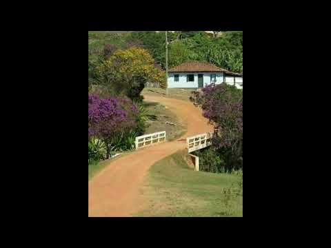 Programa: Caminho da Roça - 31/08/26 - Parte 1 - Apresentação: Paulinho