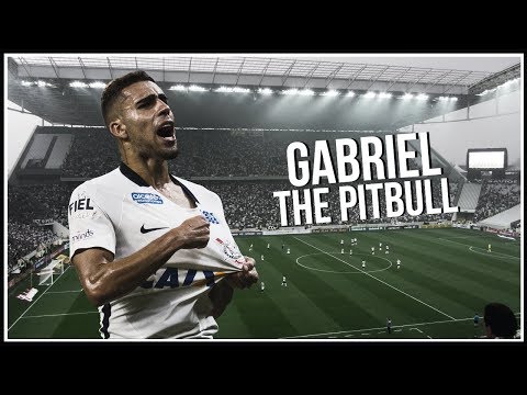 Gabriel ► The Pitbull | Habilidades defensivas | 2017