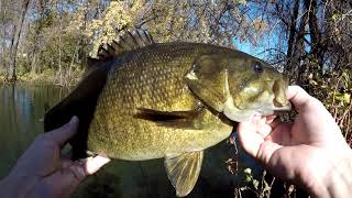 4.5lb Smallmouth Bass - NEW PB! Fall Fishing Mississippi River in Minnesota