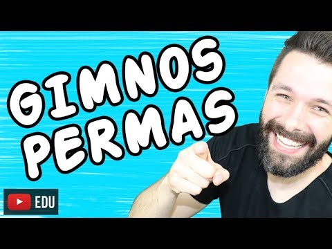GIMNOSPERMAS - BOTÂNICA - Aula | Biologia com Samuel Cunha