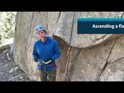 Ascending a fixed rope using prusiks