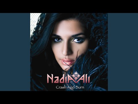 Crash And Burn (Sultan and Ned Shepard Remix)