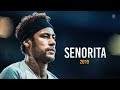 Neymar Jr ► Señorita - Shawn Mendes | Crazy Skills & Goals | 2019 | HD