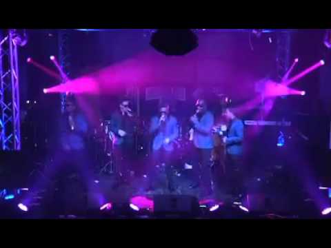 CACHE DELUXE ROYAL (5)