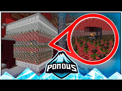 Pondus SMP :: PONDUS' BEACON FARM! #39