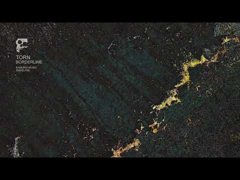 Torn - Dislocations  [SMDELP08]