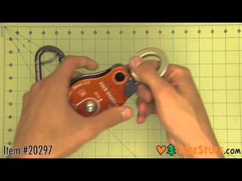 YouTube Thumbnail 3_PS-6efq_0