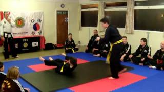 preview picture of video 'Sudbury Hapkido Moo Moo Kwan Juniors demo 17 12 2014'