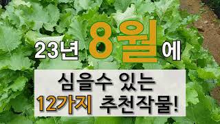 8월에 심을 수 있는 12가지 추천 작물! #주말농장 #텃밭 가꾸기 #8월에 심는 작물.