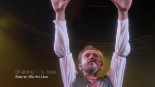 Peter Gabriel Shaking the Tree Video