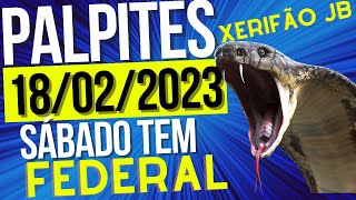 Palpite do dia 18/02/2023 - JOGO DO BICHO 🍀