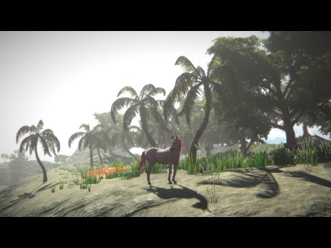 Gameplay de Horse and Go Seek
