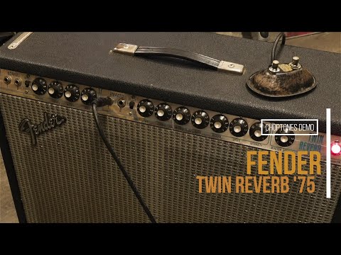Fender Twin Reverb 1975 Silverface | Playthrough Demo