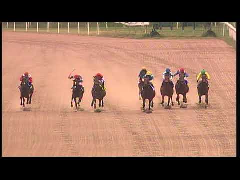 rm 20210514 03 p lemoss