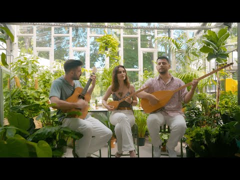 Telli Sazlar Üçlüsü - Pınar başından bulanır