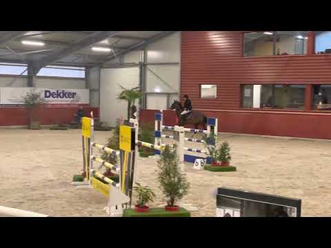 Wadro’s Jerina By Zirocco Blue x Kashmir vh Schuttershof @1.30m IJsselmuiden