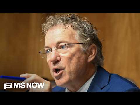 'Show trial': Cohn says Fauci hearing was about Rand Paul being invested in a conspiracy