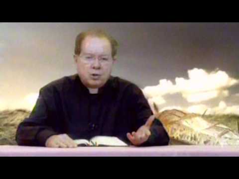 O Pão Nosso  22 Setembro 2016    -     Pe. F. C. Cardoso