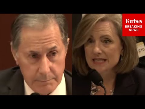 'How Long Do You Think The Corrupt Activities Been Going On In Minnesota?': Palmer Questions MN Rep