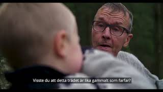 Min skog, vårt ansvar (med svensk text)