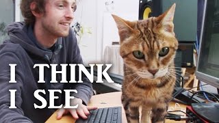 I Think I See The... - A CatHatFiddle Music Video - Song by Kieran Burling