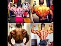 THE BACK Is The Most Important Bodypart