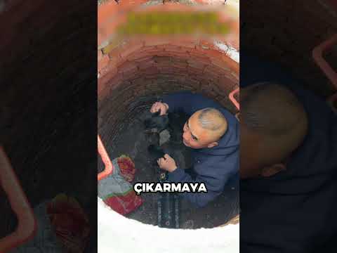 Kuyuya İnip Köpekleri Çıkarması Herkesi Şaşırttı❗️😱