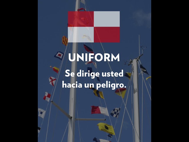 Vídeo relacionado con Bandera barco Cataluña de 20 x 30 cm. Peso de la tela impresa resistente con punto y lazo bandera náutica de 20 x 30 cm (Cataluña)