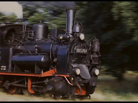 Mallets, Meyers and other Marvels