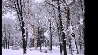 David Garrett - La califfa di Ennio Morricone