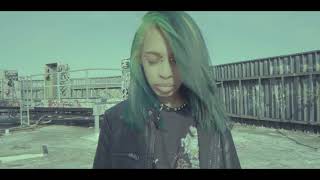 Cover art for Everglades