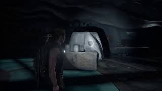 「ラスアス2」まったり配信