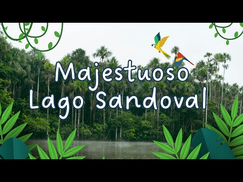 Video del tour