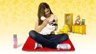 Download lagu Petz Nursery 2 Commercial 2010 mp3 Download lagu Petz Nursery 2 Commercial 2010 mp3