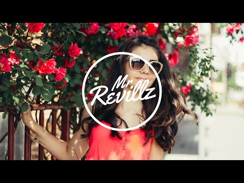Tiesto - Lethal Industry (De Hofnar & The Techtives Remix)