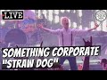 Something Corporate "Straw Dog" LIVE