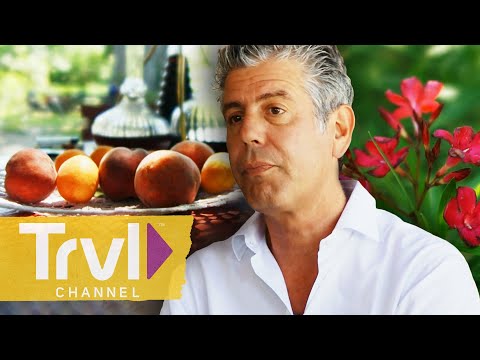 Basking in the Beauty of Provence | Anthony Bourdain: No Reservations | Travel Channel